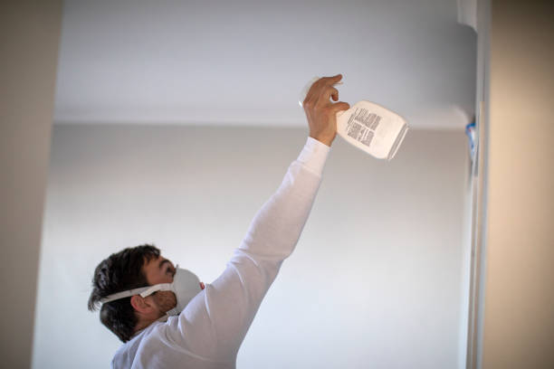 Best Residential Mold Removal  in Lexico, CA