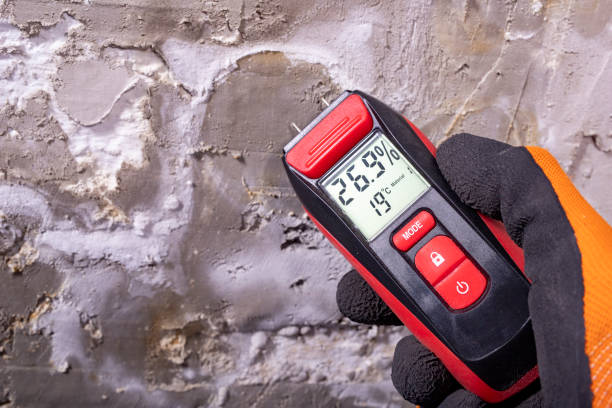 Best Mold Removal Process  in Lexico, CA