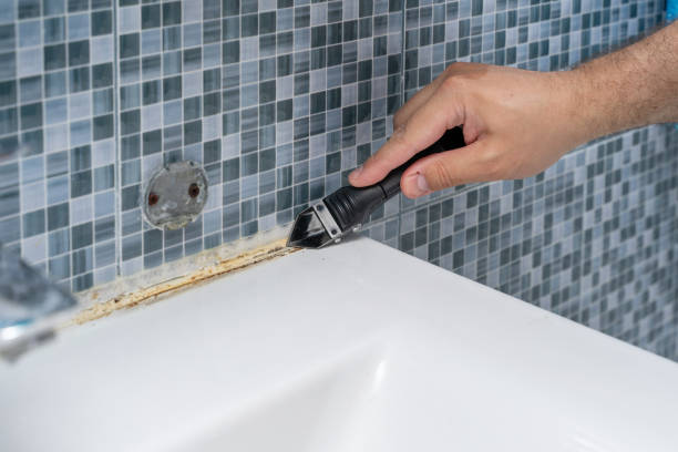 Best Professional Mold Removal  in Lexico, CA