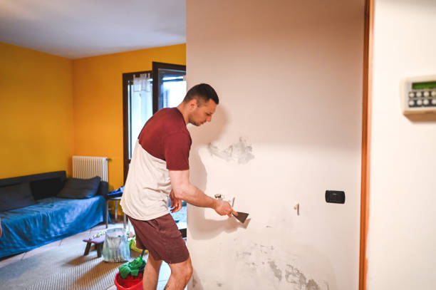 Best Toxic Mold Removal  in Lexico, CA